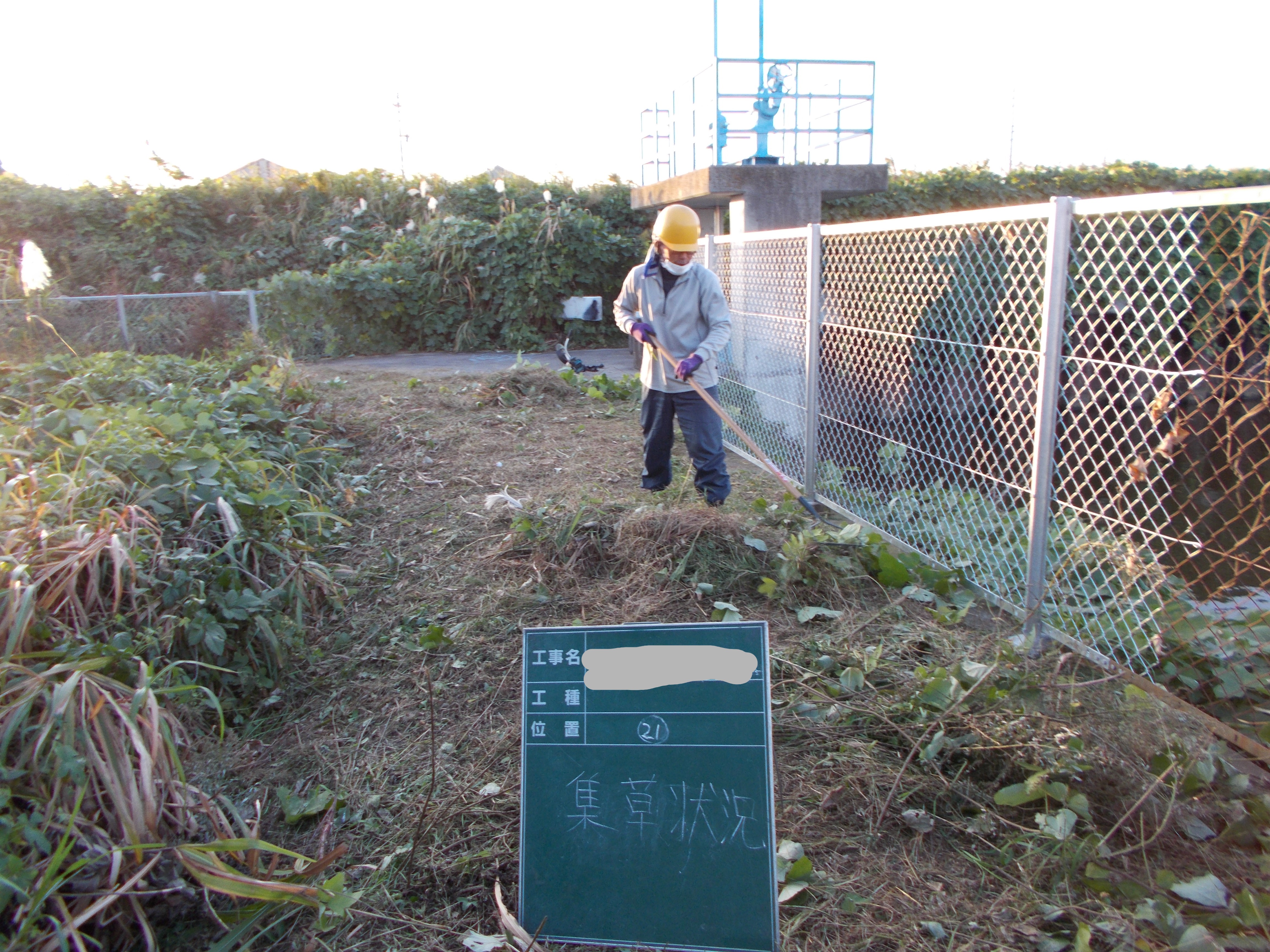 除草作業