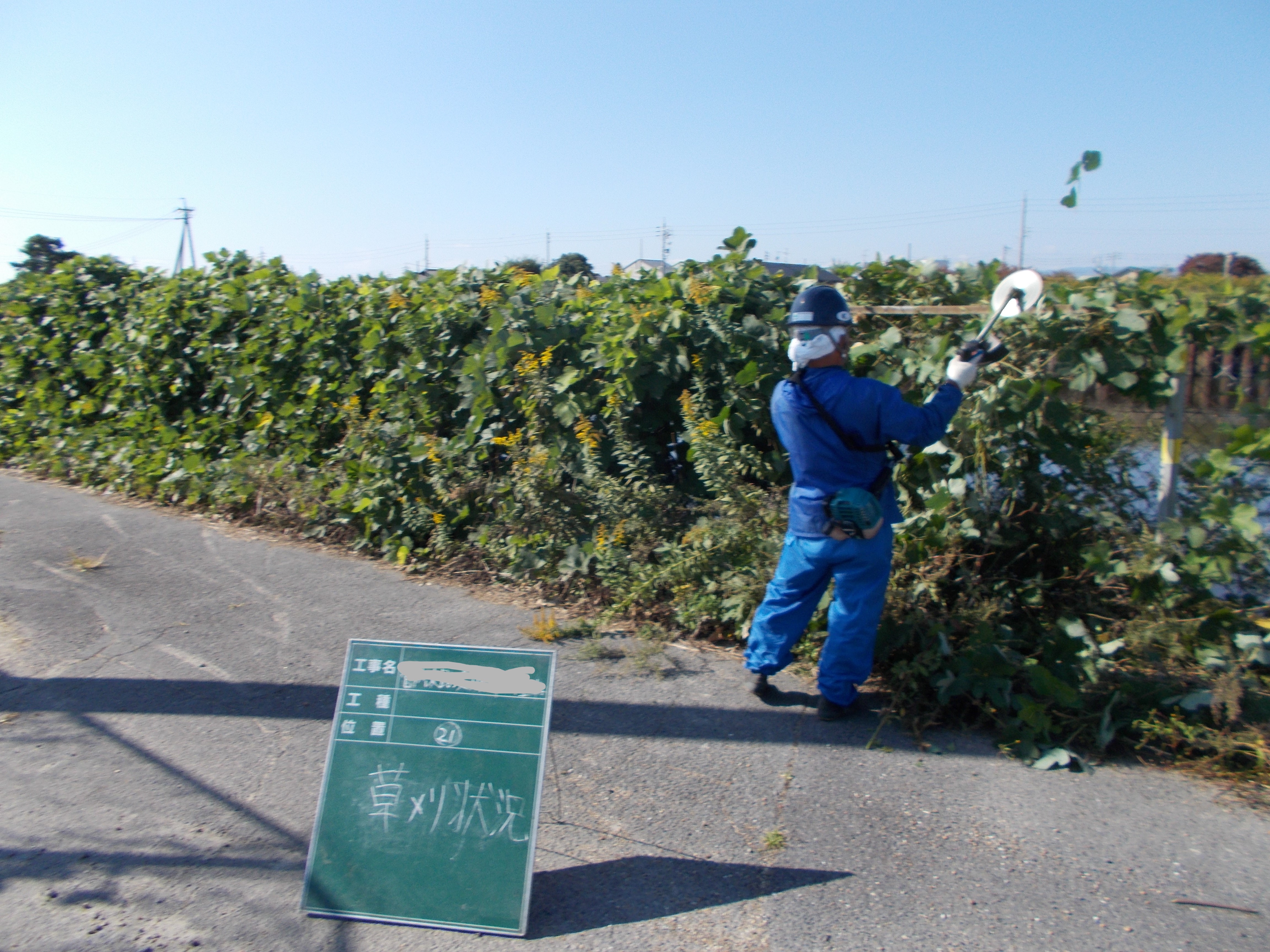 除草作業